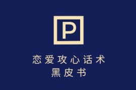 分手挽回话术项目实操教程 零基础7天可上手单条变现上千