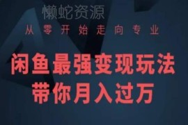 闲鱼从零入门到专业运营全攻略 可落地变现玩法实操教程