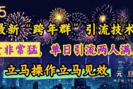 2024跨年群引流实操教程 抖音小红书单日引流满群操作方法