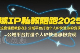 2025全域IP私教陪跑课程 公域打造个人IP涨粉变现实操指南