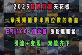 2025短视频创业粉引流实操教程 引流变现双路径日引500+精准粉