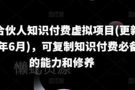 2024年6月更新 IP合伙人知识付费虚拟项目运营实操全教程