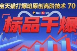 淘宝天猫打爆班第70期 标品从0到爆高阶运营实操全攻略