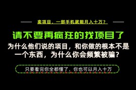 做项目易成炮灰卖项目更稳？底层逻辑拆解及实操教程