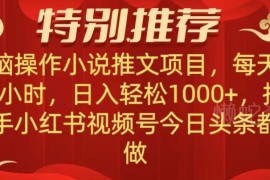 小说推文项目操作详解 多平台可做的低门槛兼职增收方法