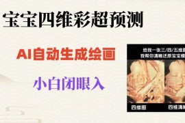 四维彩超AI预测宝宝长相项目 无门槛操作单日可赚500+玩法揭秘