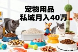宠物用品私域猫车群运营攻略 精准掘金月变现40万实操玩法