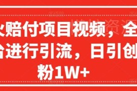 爆火赔付项目视频引流实操教程 全网平台日引创业粉方法