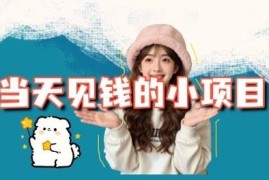 3个适合互联网小白的当日收益小项目拆解 附平台及操作流程