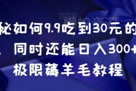 9.9元吃30元外卖实操方法 外卖薅羊毛日入300技巧教程