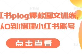 小红书plog爆款图文运营教程 从0到1搭建账号实操指南