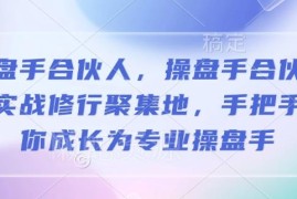 2025操盘手合伙人实战修行培训课 手把手带你成长为专业操盘手