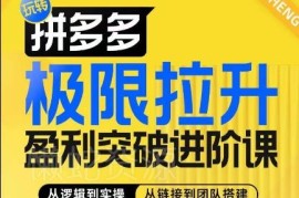 拼多多盈利提升进阶课 从算法玩法到团队搭建全体系教学