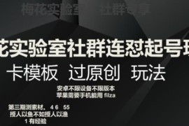梅花实验室社群连怼起号 卡模板过原创玩法详细揭秘
