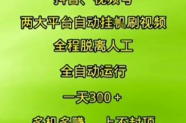 抖音视频号自动化任务项目揭秘 无需人工操作即可获取额外收益