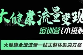 千万级大健康变现线下课 全域流量一站式落地实操解决方案