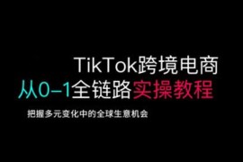 TikTok跨境电商从0到1全链路实操教程 开店运营全流程指南