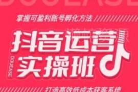 抖音运营实操班课程 掌握盈利账号孵化与低成本获客方法