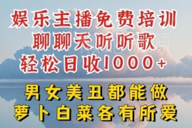 零门槛娱乐主播实操教程 零基础开播轻松实现日入千元