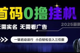 2025全新0撸挂机项目介绍 无需实名无广告小白可日入三位数
