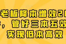 企业老板降本增效20讲 掌握三本五效实现低本高效运营