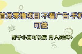 无需看广告的手机零撸项目分享 新手小白可操作月入3000+