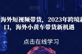 2023年黑冰TikTok海外短视频小黄车带货运营全流程教程
