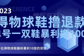 2023得物球鞋撸退款项目揭秘 比搬砖收益更高的实操玩法介绍