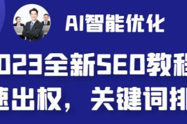 2023最新AI智能网站SEO优化教程 零成本快速出权重可自动写文配图