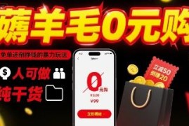 主流电商平台0元购薅羊毛玩法 新手可做副业增收实操教程