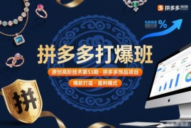 拼多多打爆班第53期原创教程 饰品类目全链路运营实操干货