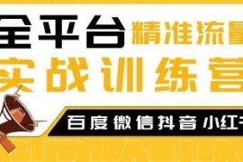 2024全平台精准流量实战训练营 百度微信抖音小红书SEO教程