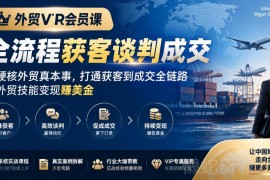 外贸VIP全流程实战课程 掌握获客谈判技能打通链路实现变现
