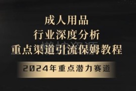 2024成人用品赛道深度解析 全链路引流变现保姆级实操教程