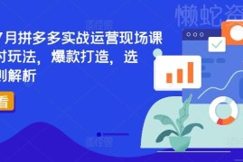 2024年7月拼多多实战运营课 选品爆款打造规则解析实操指南