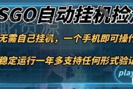 CSGO饰品自动捡漏赚差价项目 手机可操作新手当天可见收益