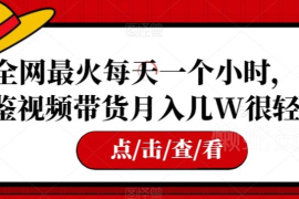 每天1小时可操作借鉴式视频带货 普通人低门槛增收实操指南