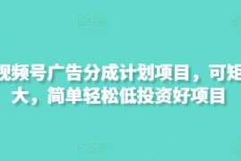 2025最新视频号广告分成项目 可矩阵放大低投入变现玩法