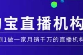 淘宝直播MCN机构运营实操课 从0到1打造月销千万直播机构