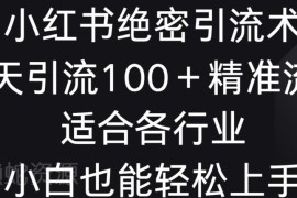 小红书全行业通用引流技巧 小白可上手日引100+精准流量