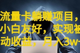 适合小白的流量卡躺赚项目 开通后台即可获取长期被动收益