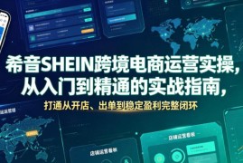 希音SHEIN跨境电商运营实操指南 从开店到盈利全流程攻略