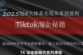 2025TikTok跨境运营全流程指南 新手从0到盈利变现实操教程