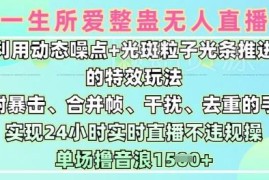 一生所爱无人整蛊直播9.0玩法 24小时合规开播实操教程