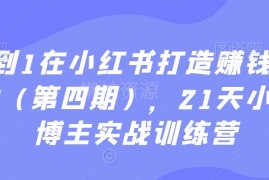 21天小红书博主实战训练营 从0到1打造可变现个人IP全流程