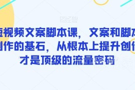 爆款短视频文案脚本实战课 从底层提升创作能力掌握流量密码
