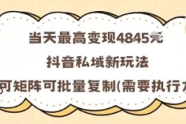 抖音私域AI短视频变现新玩法 可批量矩阵操作单日最高赚千元