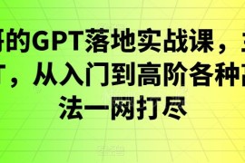 浩哥GPT落地实战课 从入门到高阶全场景实操教学指南