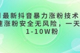 2025年3月最新抖音安全涨粉技术 无需买粉单日可涨1-10W粉
