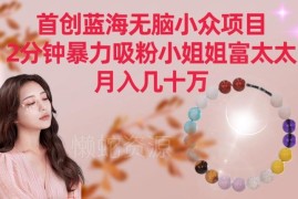 首创蓝海低门槛小众赚钱项目 精准吸引女性用户轻松获高收益